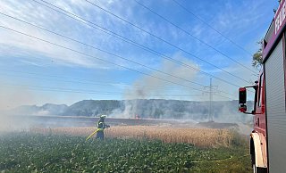 An den heißen Tagen brannte im Bereich Albaxen ein geerntetes Feld ab. - Feuerwehr Höxter