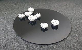 Die Rikus-Rosen sollen wie ein Seerosenteich auf dem Landesgartenschau-Gelände in Paderborn neu präsentiert werden. - Stadt Paderborn