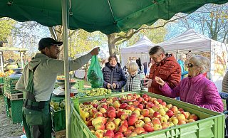 Am Stand der Beschicker vom Hof Kossack in Wulferdingsen gibt es alte Apfelsorten in jeder Geschmacksrichtung. - Elke Niedringhaus-Haasper