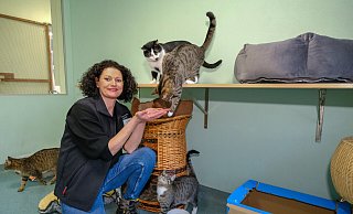 Tierheimchefin Anja Langer zu Besuch in der Katzen-WG. - Foto: Andreas Zobe/NW