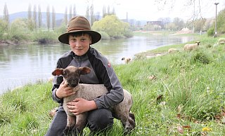 Nachwuchs-Schäfer Lennard Schrick mit einem etwa drei Wochen alten Lämmchen der Wanderschäferei Schrick. Gemeinsam mit der „Kinderstube“, einer Gruppe von 80 Schafen mit jeweils Zwillingen, weidet das Lämmchen nun am Weserufer auf dem Gelände der Landesgartenschau. - LGS Höxter/Madita Schellenberg