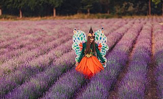 Auf zwei Hektar Fläche erfreute im vergangenen Jahr zur Landesgartenschau in Höxter der duftende Lavendel Auge und Nase – hier streift Gartenschau-Elfe Holli durch das lila Meer. - Huxarium Gartenpark Höxter/Claudia Warneke