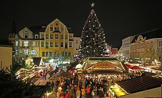 Der große Weihnachtsbaum auf dem Alten Markt war ein Highlight des Weihnachtslichts. - Frank-Michael Kiel-Steinkamp