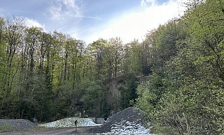 Der Kampf für oder gegen den Nationalpark in der Egge, hier bei Bad Driburg, nimmt im Internet teils groteske Züge an. - Ralf T. Mischer