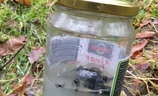 Dieses Glas steckt in einem der Stoffsäckchen. Ursprünglich war es mit Paprikapaste gefüllt. Was nun darin enthalten ist, lässt sich nur erahnen. Öffnen wollte es der Finder lieber nicht. - privat