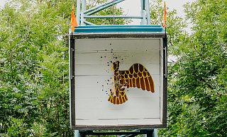 Vorbeischießen unmöglich: Die Paderborner Schützen zielen mit einem fest eingespannten Gewehr auf den Kugelfang. - Besim Mazhiqi