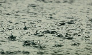Amtliche Warnung vor schwerem Gewitter und heftigem Starkregen im Kreis Herford. - Pixabay (Symbolbild)