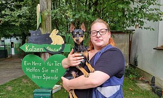 Katzenhausleiterin Anne Mähling teilt sich ihr Büro derzeit mit Hund Jack. Der Pinscher stammt aus Kiew und ist mit seinem Frauchen vor den Kriegswirren geflohen. - Fotorechte: Tierheim Gütersloh