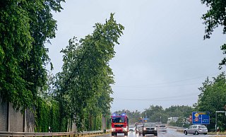 Während des Unwetters "Lambert" drohte ein Baum an der Autobahnzufahrt in Schloß Holte-Stukenbrock auf die Straße zu kippen. Die Feuerwehr sicherte den Bereich und fällte den Baum. - BESIM MAZHIQI