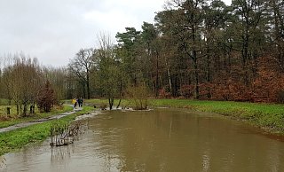 Die Große Aue, eigentlich ein kleines Flüsschen, macht ihrem Namen alle Ehre. Groß und breit drängt sie aktuell aus ihrem Flussbett in Espelkamp. - Heike von Schulz