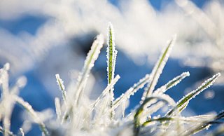 Die Temperaturen am Wochenende bleiben meist unter dem Gefrierpunkt und sorgen für Frost. - Marcel Kusch