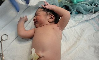 Wenn ein Baby geboren wird, kommen neben allem Glück für junge Familien auch oft Unsicherheiten und viele Fragen auf. Dafür sind die Babylotsen Ansprechpartner. - Pixabay