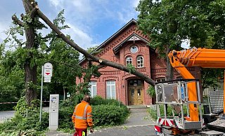 In Gütersloh sorgte der Sturm vor allem für abgeknickte Bäume (wie hier an der Moltkestraße) - woanders musste die Feuerwehr wegen vollgelaufener Keller ausrücken. - Wolfgang Temme