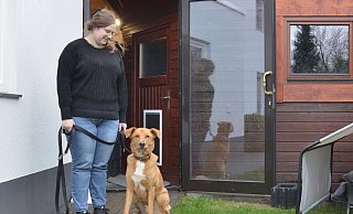 Sie sind es füreinander: Mayo mit seinem neuen Frauchen. - Philipp Kruse / Tierheim Bielefeld