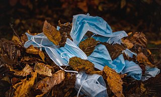 Das Ende der Maskenpflicht hat Konsequenzen für den Unterricht. - Symolbild: Pixabay