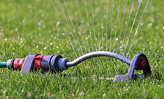 Rasenflächen und Gärten dürfen in Löhne, Bad Oeynhausen, Hille und Hüllhorst momentan nicht mehr bewässert werden. - Pixabay (Symbolbild)