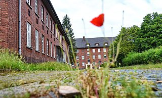 Schon ab Sommer kehrt wieder neues Leben ein in die Rochdale-Kaserne an der Oldentruper Straße. Allerdings in ganz ungewohnter Art und Weise. - Barbara Franke
