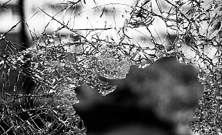 Mit roher Gewalt drangen der oder die Täter in das Gebäude der Feuerwehr ein. - Symbolfoto: Pixabay / Creative Commons