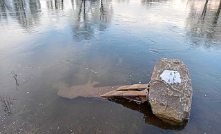 Die beim Weihnachtshochwasser umgekippte Figur war nur kurz zu sehen. Der Wasserstand hat kaum zum Luftholen gereicht. Aktuell ist der Angler wieder völlig verschwunden. - Michaela Bast