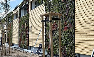 Vertikales Grün: Die Fassade des Discounters ist lebendig. - Ralf T. Mischer