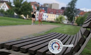 Im Paderquellgebiet ist es zwischen 32 und 33 Grad heiß, das Fehlen der vom Tornado zerstörten Bäume ist deutlich spürbar. - Holger Kosbab