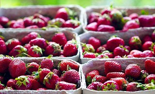 Eine Erdbeer-Verkaufshütte wurde überfallen. - Jan-Henrik Gerdener