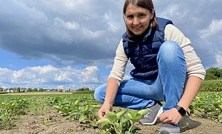 Hauptsache gut versorgt: Katharina Eßer checkt die Tropfbewässerung auf dem Erdbeerfeld, von dem sie kommenden Sommer wieder die Erdbeeren für die Region ernten wird. - Phyllis Frieling