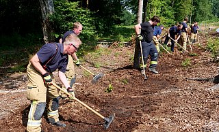 Mit den unterschiedlichen Werkzeugen wird der Waldboden von brennbarem Material befreit. Das ist für die Feuerwehrleute ziemlich anstrengend, aber der Aufwand lohnt sich. - Ralph Meyer