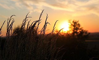 174,3 Stunden Sonnenschein registrierte die Wetterstation in Drenke. - Simone Flörke