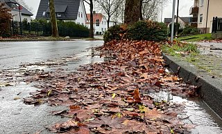 An der Elverdisser Straße liegen noch seit Herbst Laubmassen. - Privat