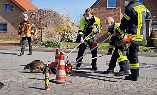 Feuerwehrleute aus Herford fangen im Jahr 2021 einen Waschbären ein. - Feuerwehr Herford