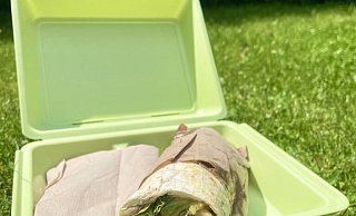 Bei Take-away-Speisen rät die Verbraucherzentrale zu Mehrwegbehältern. Aber akzeptieren das die Paderborner Gastronomen? - Katharina Hink