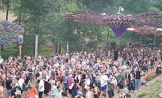 Tausende Gäste feierten am Wehdemer Waldfrieden das Wonderland-Festival. - Florian Passlick
