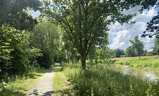 Die Wege im Werreauenpark müssen erneuert werden. - Dirk Windmöller
