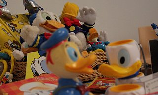 Donald Duck, so weit das Auge reicht. Neben aller Wissenschaft dürften beim Donaldisten-Kongress die Basics nicht fehlen: Comic-Hefte und Donald-Fanartikel. - Phyllis Frieling