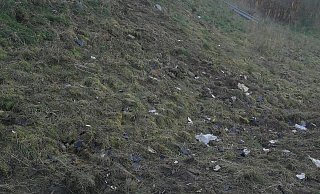 Bei dem Lkw-Unfall haben sich Plastiksplitter über den gesamten Abhang bis herunter zum Haubach verteilt. - Ulf Hanke