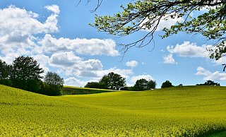 In NRW werden angenehme Temperaturen erreicht - auch am Feiertag. - Pixabay (Symbolbild)