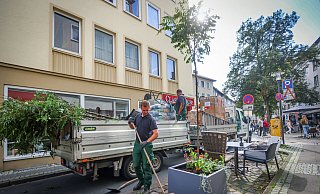 Mehr Grün bleibt gewünscht: Auch zukünftig soll in der Altstadt Sinn und Unsinn von Parkplätzen überdacht werden. Foto: Sarah Jonek - Sarah Jonek Fotografie