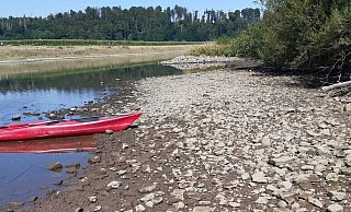 Nur noch Steine: Niedrigwasser in der Weser bei Wehrden. - Sigrid Heideck