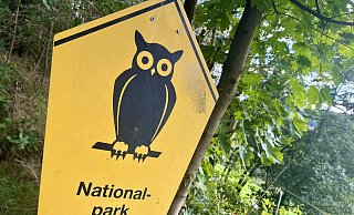Das Bündnis für einen Nationalpark Egge im Kreis Höxter hat die erforderlichen Unterschriften für ein Bürgerbegehren zusammen. - Symbolbild: Jens Reddeker Das Bündnis für einen Nationalpark Egge im Kreis Höxter hat die erforderlichen Unterschriften für ein Bürgerbegehren zusammen. - Symbolbild: Jens Reddeker