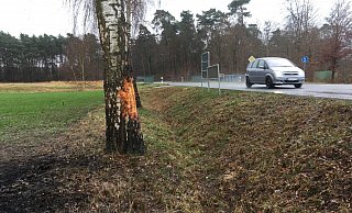 Gegen diesen Baum war das Auto in der Nacht geprallt. - Robert Becker