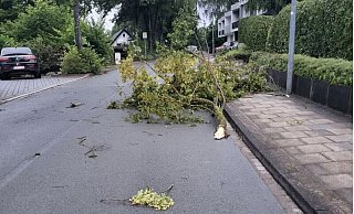 An der Grünen Mühle bei Höxter blockiert ein Baum die Fahrbahn. - Feuerwehr Höxter