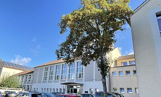 Seit Jahren sind der Sanierungsbedarf und der Platzmangel der Geschwister-Scholl-Realschule an der Wiesestraße Thema. - Natalie Gottwald