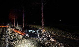 Der Baum drang bis zur Windschutzscheibe in die Front des Mercedes ein. - Kreispolizeibehörde Paderborn
