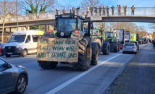 Passanten jubeln den demonstrierenden Bauern in der Nähe der Brockhäger Straße zu. - Philipp Kersten