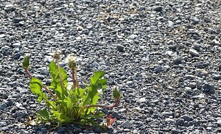 Kein Licht, kein Schild, teilweise nicht mal Asphalt gibt es hier. - Symbolfoto