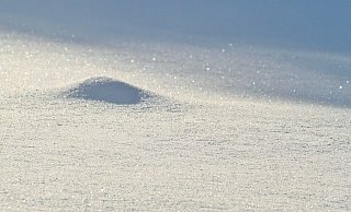 Schnee und Eis haben am Donnerstagmorgen für mehrere Unfälle gesorgt. - Symbolbild: Pixabay