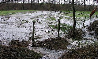 Das Foto zeigt Hochwasser an der Windwehe im Jahr 2005. - Ewald Thies/NABU Leopoldshöhe