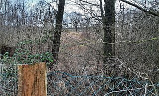 In diesem Waldstück vermutete ein selbst ernannter "Seher" die Leiche von Ulrich R. - Madita Schellenberg
