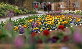 Blühende Landschaften: Die Landesgartenschau hat Gewinn eingefahren. Nun gilt es, das Gelände mit Augenmaß weiterzuentwickeln. - Friso Gentsch